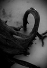 New Orleans Workshop with Keith Carter